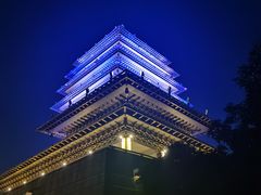 -临平公园(临平街道)