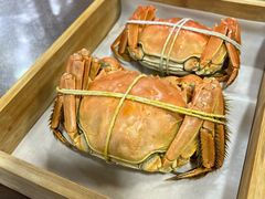 -黄记大闸蟹专卖店·活蟹·醉蟹