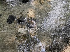 -白水寺森林公园