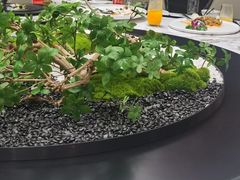 -雅苑中餐厅