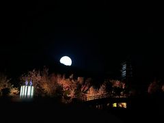 -禅宗少林·音乐大典