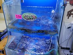 水产区-祥鹤龙虾螃蟹