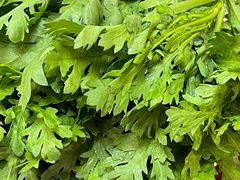 -菌之家·专业纯野生菌火锅·特色炒菌