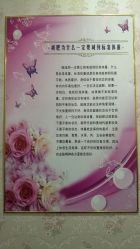 -苗塑堂减肥艾灸
