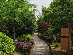 -九龙潭景区