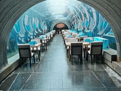 -涛·海底餐厅·美人鱼·自助餐·海底隧道(三亚海棠湾洲际度假酒店)