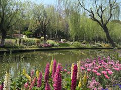 -上海鲜花港