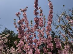 -鹫峰国家森林公园