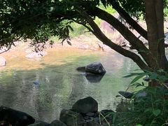 -广州白江湖森林公园