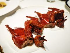 脆皮妙龄鸽-新荣记(建国门外大街店)