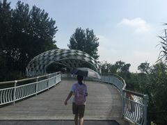 -同里国家湿地公园