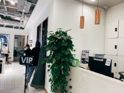 -华卫思理轻奢造型