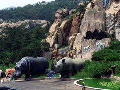 -西霞口神雕山野生动物世界