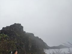 -西双版纳原始森林公园