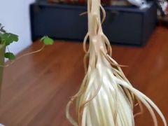 -上海市龙华烈士陵园