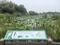 -梁鸿国家湿地公园
