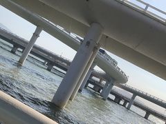-演武大桥观景平台