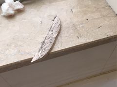 -美豪怡致酒店(上海长寿路店)