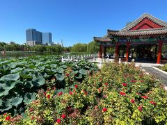 -西海子公园