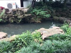 -兴福老面馆(寺路街店)