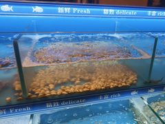 -太湖饭店玉兰厅(自助餐厅)