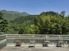 -原乡芦茨咖啡