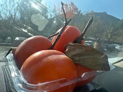 -青州市云门山风景区