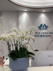 -奥本科技美肤·养生SPA