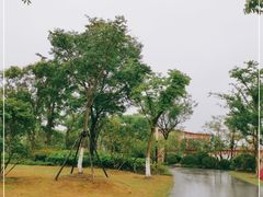 -上海长兴岛郊野公园