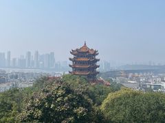 -黄鹤楼公园(黄鹤楼)