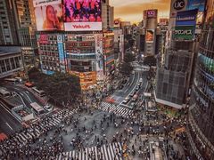 -涩谷区