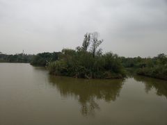 -白鹭湾湿地公园