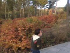 -鄂尔多斯野生动物园