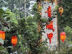 -青城甲(青城山店)