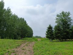 -莫子山公园