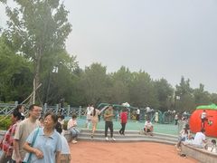-迎泽公园