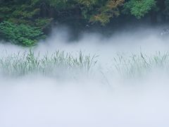 -国家植物园