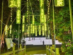 -广西壮族自治区药用植物园
