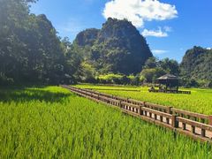 -高荡千年布依古寨旅游景区