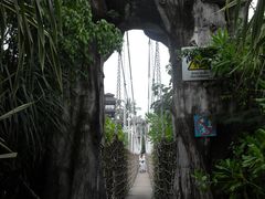 -巴拉湾海滩