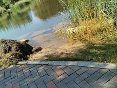 -吉林大学(前卫南区)