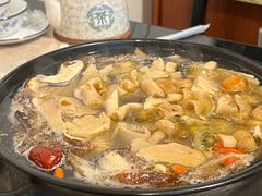 -蘑统田下·野生菌火锅