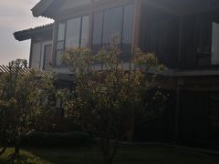 -小白鲨工夫潮膳(曲江店)