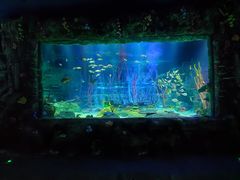 -沈阳海洋探索中心