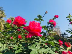 -人民公园(罗湖区)