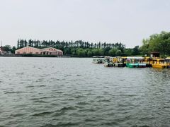 -上海长兴岛郊野公园