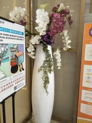-成都艾特他整形外科医院