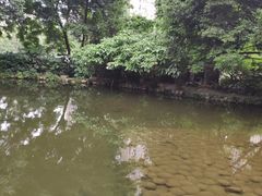 -成都市活水公园