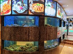 水产区-乾隆美食·本帮菜(黄河路店)