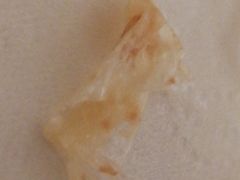 -巴黎贝甜(五月花广场店)